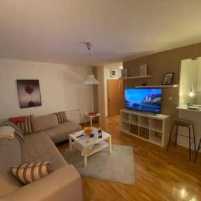 Apartman M&S Sokobanja